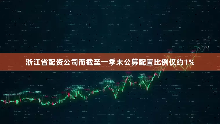 浙江省配资公司而截至一季末公募配置比例仅约1%
