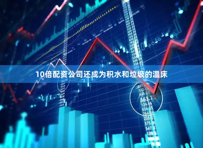 10倍配资公司还成为积水和垃圾的温床