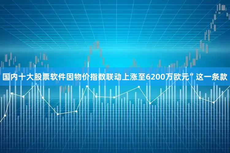 国内十大股票软件因物价指数联动上涨至6200万欧元”这一条款