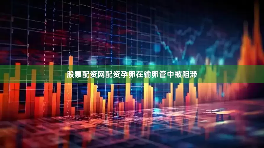 股票配资网配资孕卵在输卵管中被阻滞