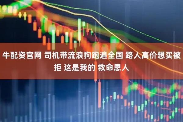牛配资官网 司机带流浪狗跑遍全国 路人高价想买被拒 这是我的 救命恩人