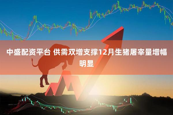 中盛配资平台 供需双增支撑12月生猪屠宰量增幅明显
