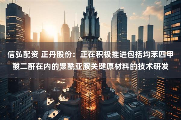 信弘配资 正丹股份：正在积极推进包括均苯四甲酸二酐在内的聚酰亚胺关键原材料的技术研发